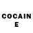 COCAIN Fish Scale Roman Arman